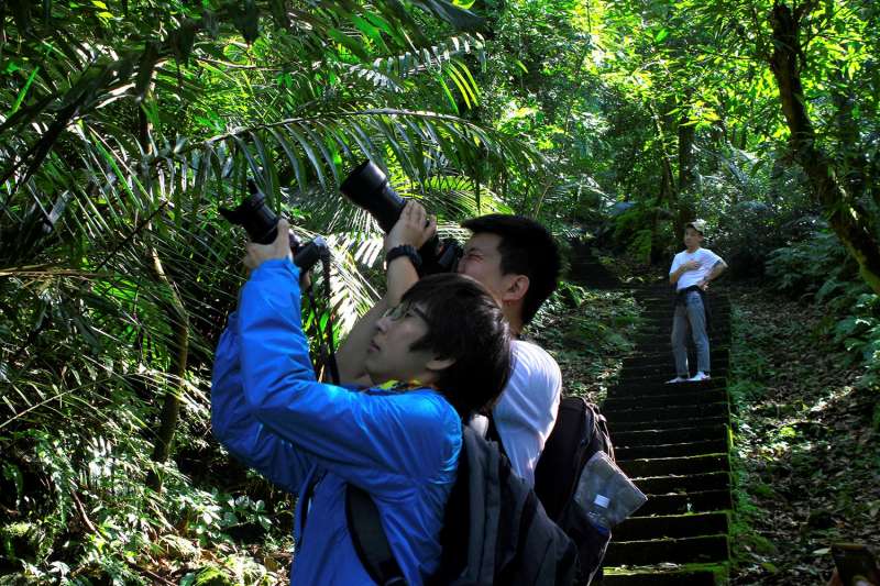 發揮無痕山林運動(Leave No Trace)精神，除了攝影、儲存回憶，其它什麼都不拿取。(圖／李義章攝)