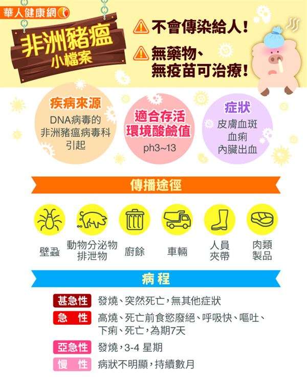 (圖/華人健康網) (圖/華人健康網)