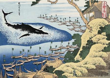 葛飾北齋的捕鯨浮世繪。(維基百科) 葛飾北齋的捕鯨浮世繪。(維基百科)