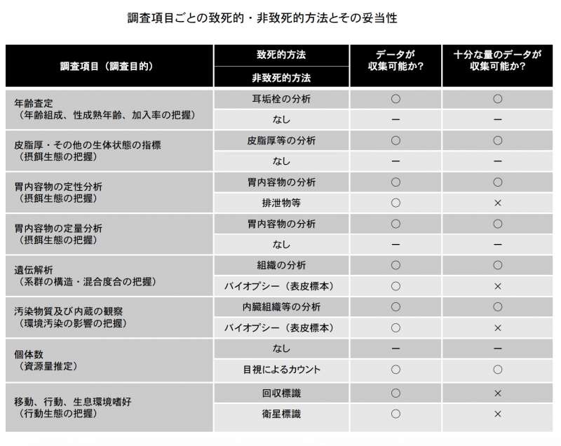 日本調查鯨類的重要項目與方法。(日本水產廳) 日本調查鯨類的重要項目與方法。(日本水產廳)