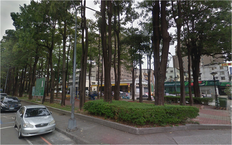 中市建設局將逐步移植南區忠明園道沿線黑板樹，以維護人行及自行車行駛安全。(圖／台中市政府提供)