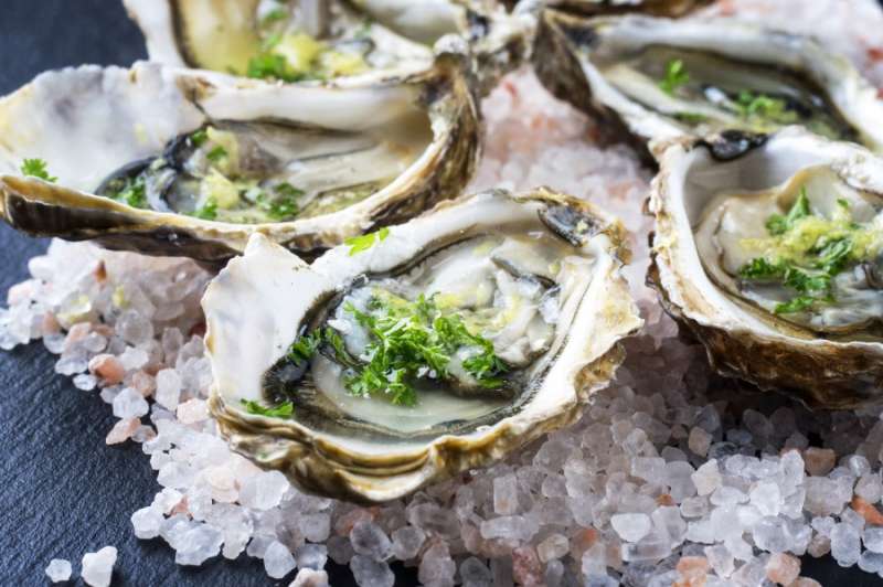 來到澳洲必吃生蠔海鮮,想吃海鮮必去墨爾本上市場(South Melbourne Market)!(圖/kkday) 來到澳洲必吃生蠔海鮮,想吃海鮮必去墨爾本上市場(South Melbourne Market)!(圖/kkday)