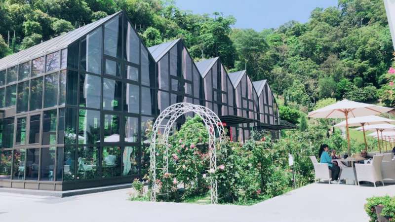 苗栗雅聞七里香玫瑰森林,有浪滿感十足的玫瑰花相伴遊客(圖/七里香玫瑰森林臉書) 苗栗雅聞七里香玫瑰森林,有浪滿感十足的玫瑰花相伴遊客(圖/七里香玫瑰森林臉書)