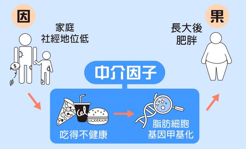 童年的外在環境,如何影響成年肥胖?以美國受試者的資料來分析,是因為家裡吃得不健康,使得脂肪細胞一些基因甲基化。(圖/研之有物提供) 童年的外在環境,如何影響成年肥胖?以美國受試者的資料來分析,是因為家裡吃得不健康,使得脂肪細胞一些基因甲基化。(圖/研之有物提供)