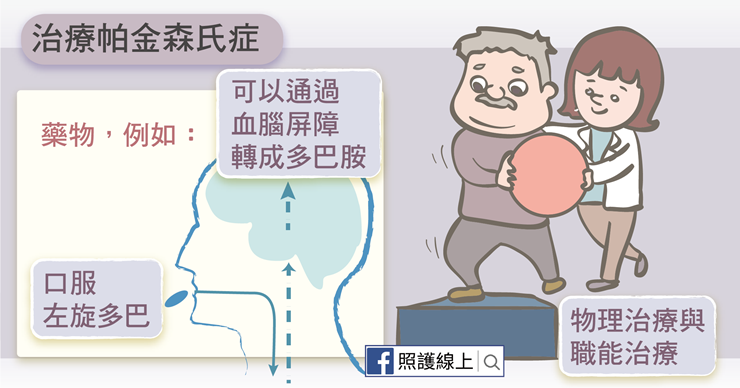(圖/照護線上提供) (圖/照護線上提供)