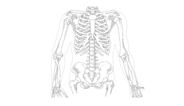 (圖/Health Blog提供) (圖/Health Blog提供)