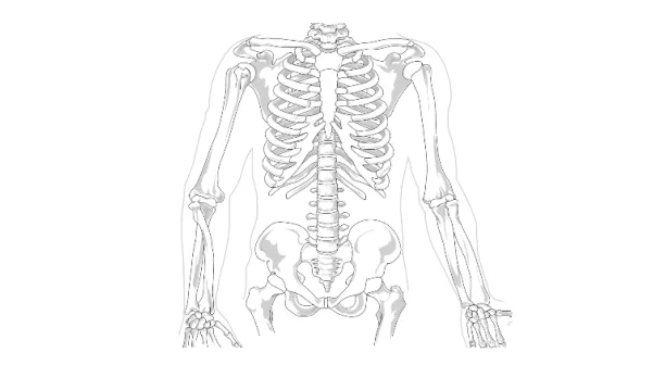 （圖／Health Blog提供)