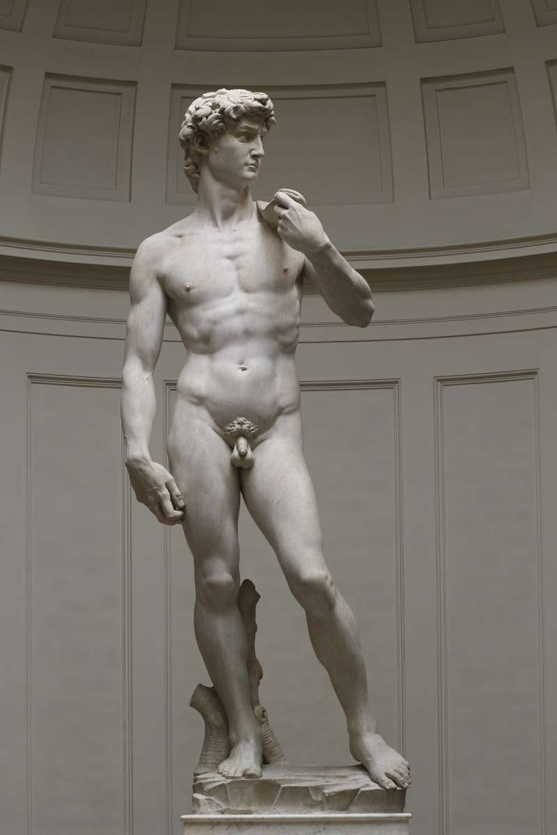 米開朗基羅(Michelangelo)的「大衛像」(David)(Wikipedia / CC BY 3.0) 米開朗基羅(Michelangelo)的「大衛像」(David)(Wikipedia / CC BY 3.0)