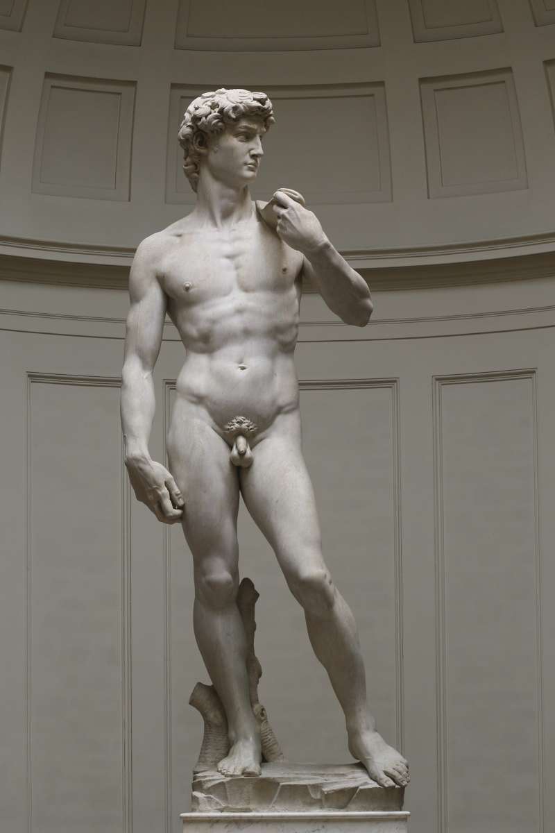 米開朗基羅（Michelangelo）的「大衛像」（David）（Wikipedia / CC BY 3.0）