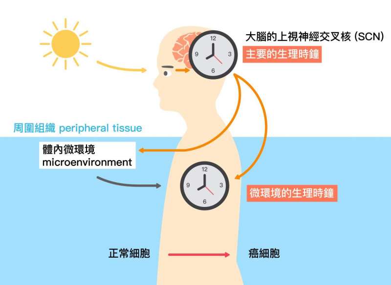 （圖／研之有物）