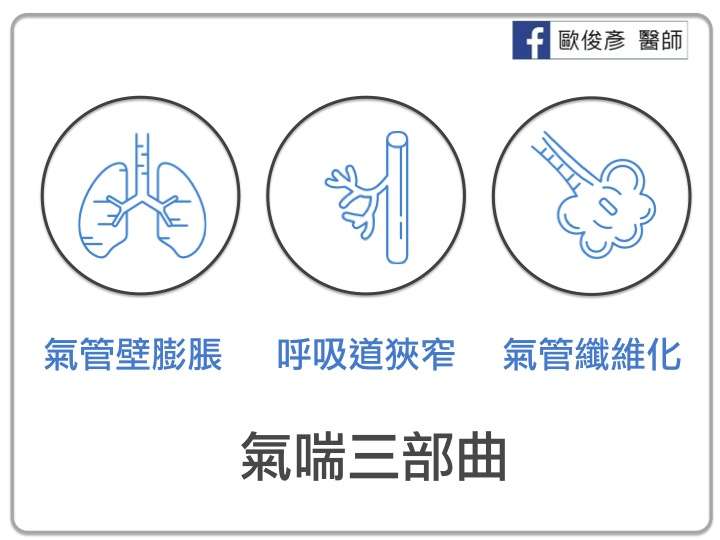 (圖/照護線上) (圖/照護線上)