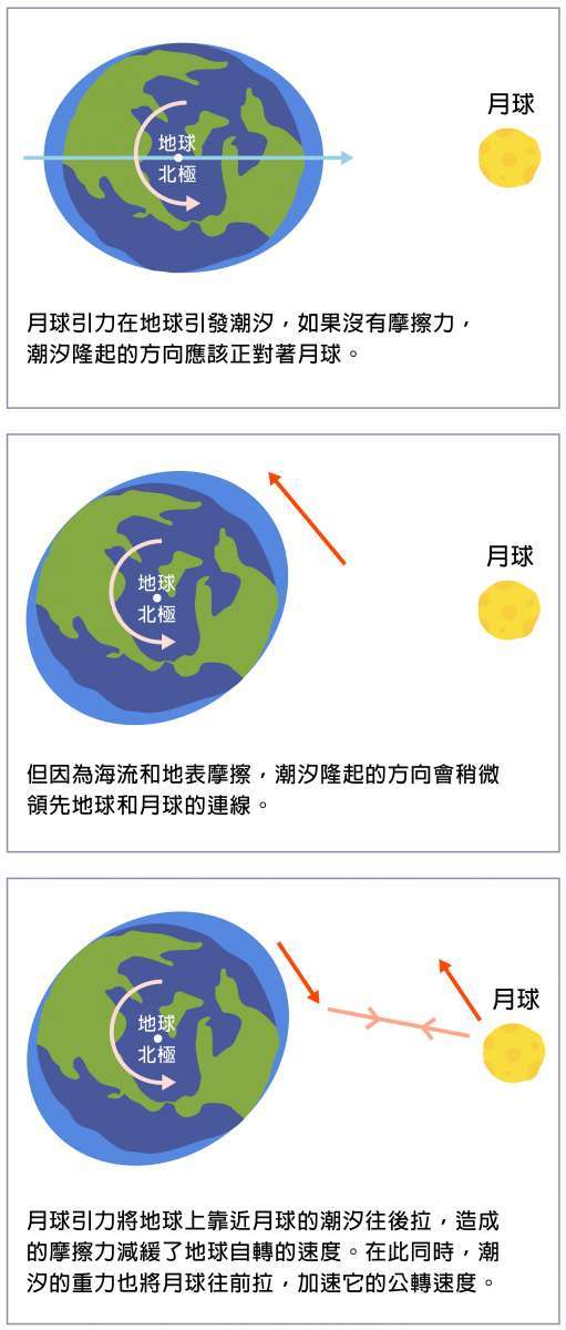 (圖/研之有物) (圖/研之有物)