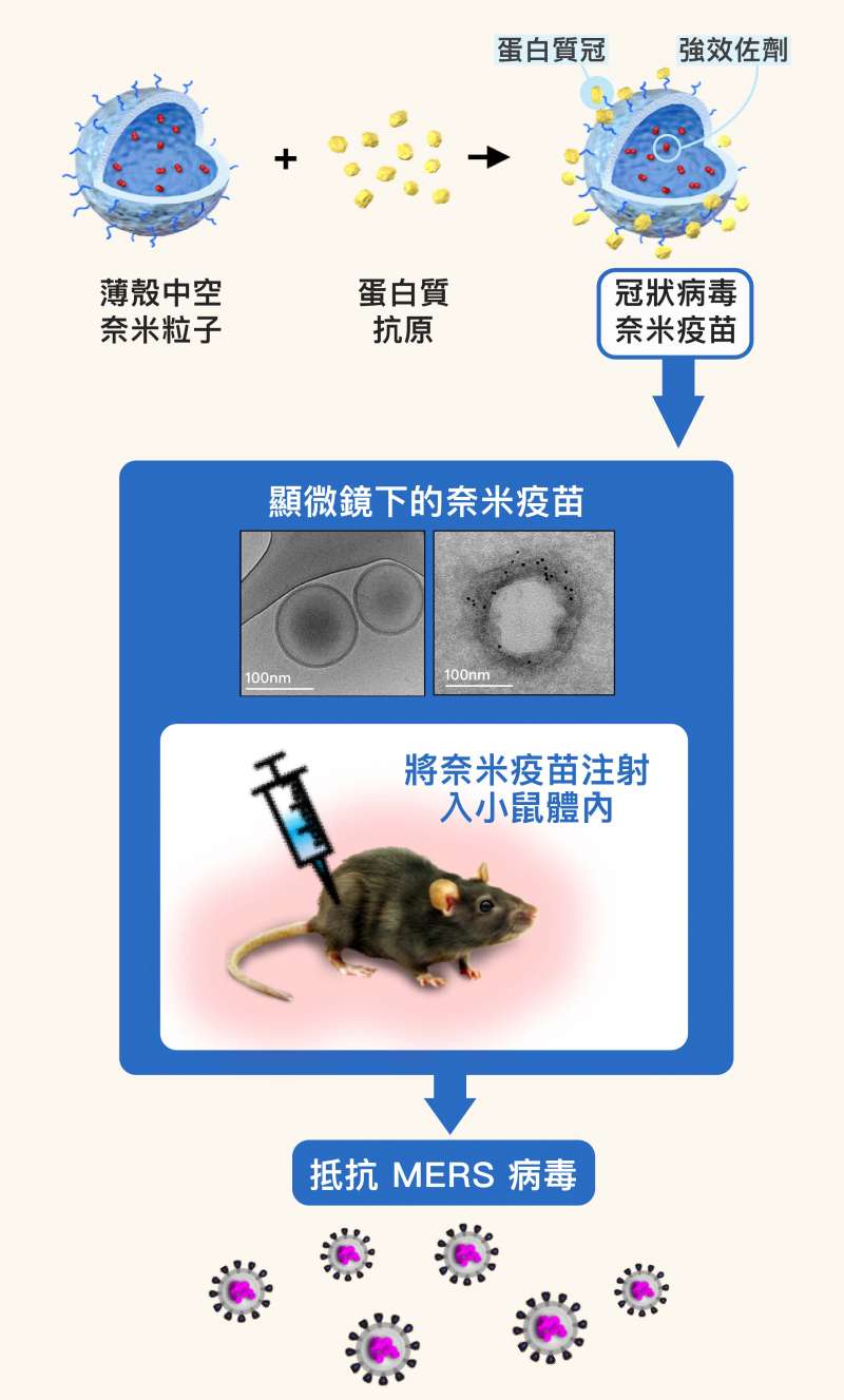 奈米MERS疫苗,便是比照病毒,將抗原做成奈米大小,並模仿冠狀病毒表面的皇冠樣突起」,在薄殼奈米粒子的表面,覆上「蛋白質冠」,進而讓搭載於粒子內部的奈米級強效佐劑,得以一起傳遞予免疫細胞(圖/研之有物) 奈米MERS疫苗,便是比照病毒,將抗原做成奈米大小,並模仿冠狀病毒表面的皇冠樣突起」,在薄殼奈米粒子的表面,覆上「蛋白質冠」,進而讓搭載於粒子內部的奈米級強效佐劑,得以一起傳遞予免疫細胞(圖/研之有物)