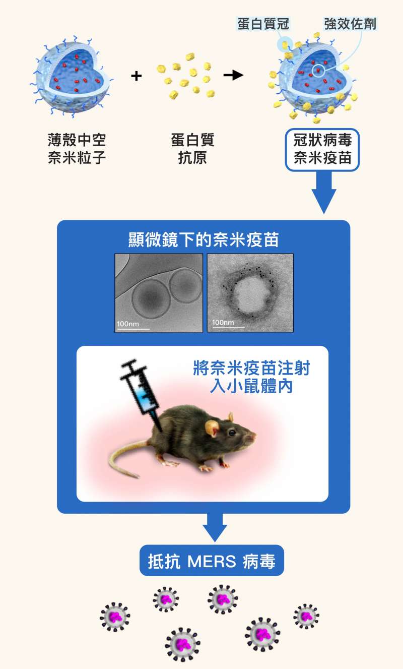 奈米MERS疫苗，便是比照病毒，將抗原做成奈米大小，並模仿冠狀病毒表面的皇冠樣突起」，在薄殼奈米粒子的表面，覆上「蛋白質冠」，進而讓搭載於粒子內部的奈米級強效佐劑，得以一起傳遞予免疫細胞（圖／研之有物）