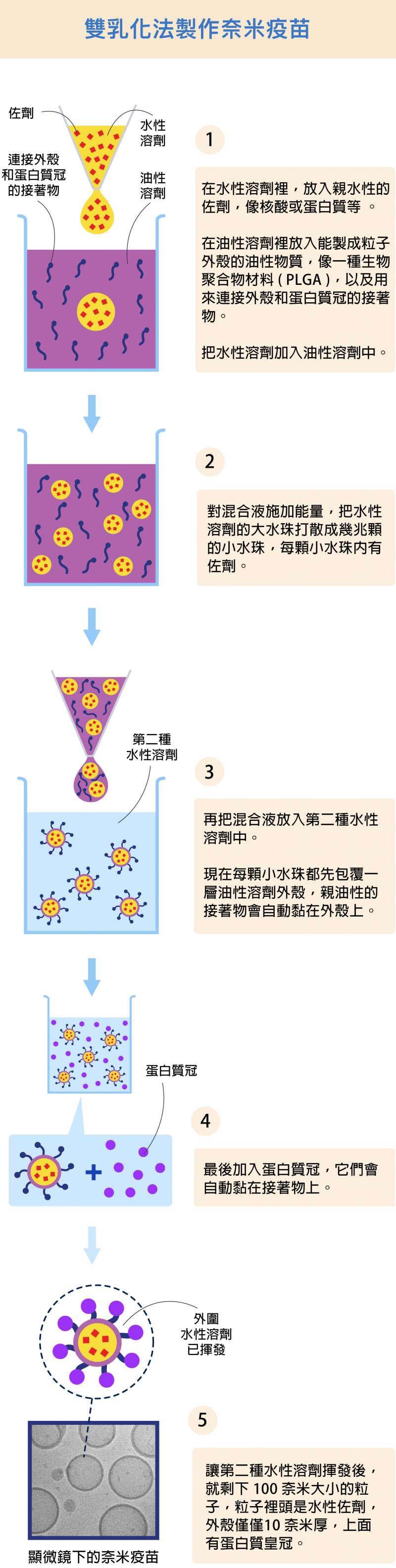 （圖／研之有物）