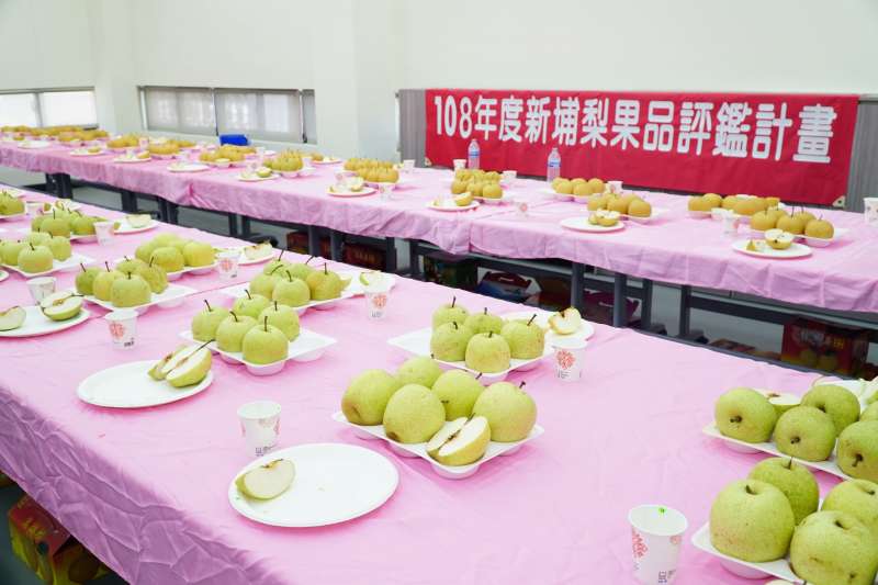 新埔水梨品種相當多樣化,消費者可依個人喜好,品嘗到不同風味、口感水梨。(圖/新竹縣政府提供) 新埔水梨品種相當多樣化,消費者可依個人喜好,品嘗到不同風味、口感水梨。(圖/新竹縣政府提供)