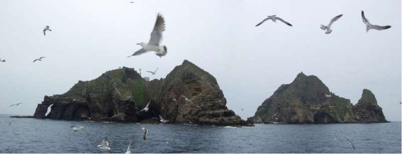 南韓與日本之間有主權爭議的獨島(竹島)(머찐만두@Wikipedia / CC BY-SA 2.0 kr) 南韓與日本之間有主權爭議的獨島(竹島)(머찐만두@Wikipedia / CC BY-SA 2.0 kr)
