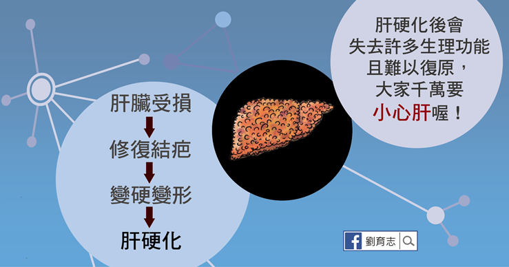 (圖/照護線上提供) (圖/照護線上提供)
