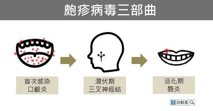 (圖/照護線上) (圖/照護線上)