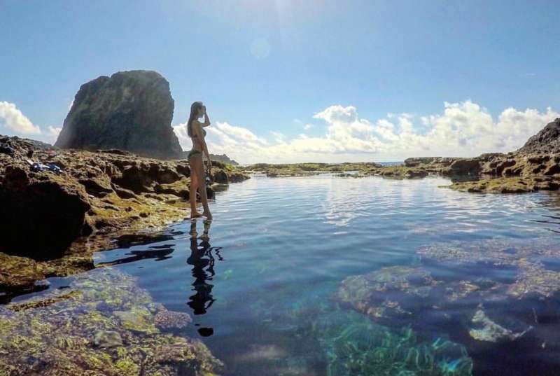 (圖/台灣旅行小幫手提供) (圖/台灣旅行小幫手提供)