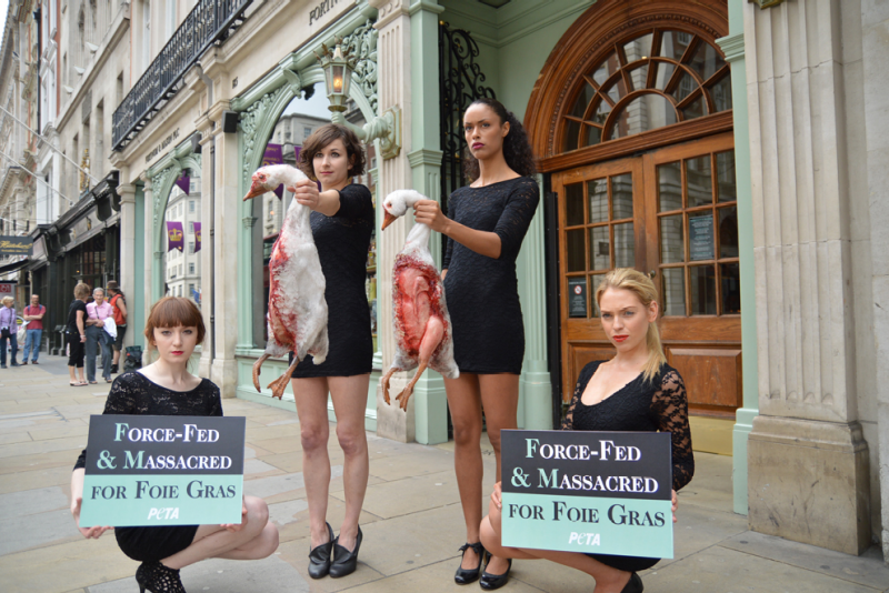 動保人士呼籲反對人道飼養。(圖/英國善待動物組織PETA.UK) 動保人士呼籲人道飼養。(圖/英國善待動物組織PETA.UK)