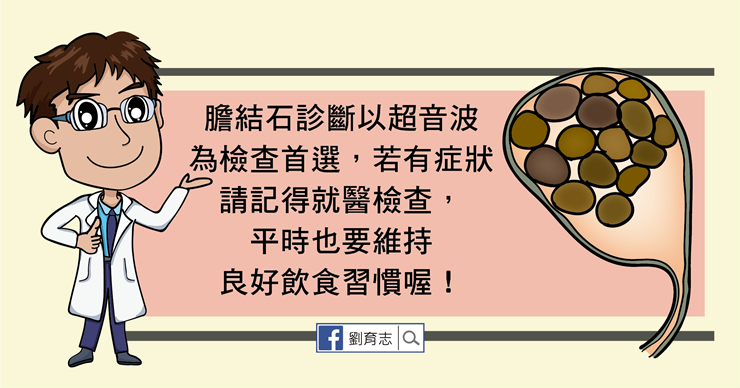 膽結石懶人包。(圖/照護線上提供) 膽結石懶人包。(圖/照護線上提供)