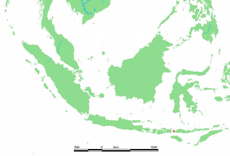 科莫多島地理位置圖。(圖/Public Domain@wikipedia) 科莫多島地理位置圖。(圖/Public Domain@wikipedia)