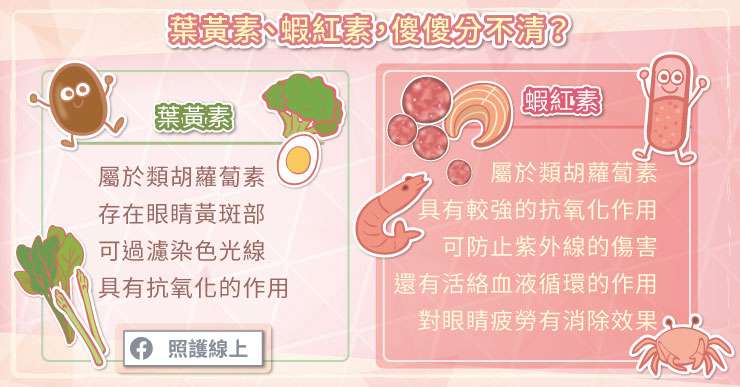 (圖/照護線上)3 (圖/照護線上)3