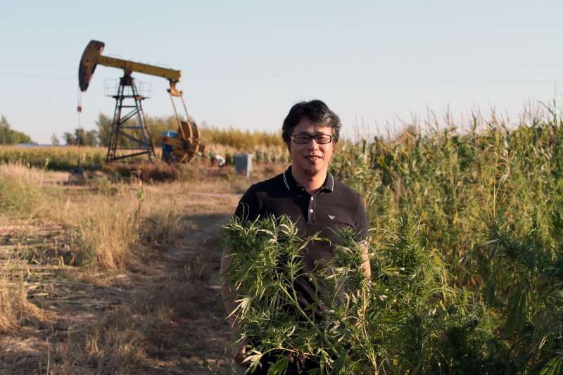 中國工業大麻新創企業天之草的副總裁李凌表示,黑龍江是北部省份,氣候更適合種植用於紡織品生產的工業大麻。 圖片來源:STEPHANIE YANG/THE WALL STREET JOURNAL 中國工業大麻新創企業天之草的副總裁李凌表示,黑龍江是北部省份,氣候更適合種植用於紡織品生產的工業大麻。 圖片來源:STEPHANIE YANG/THE WALL STREET JOURNAL