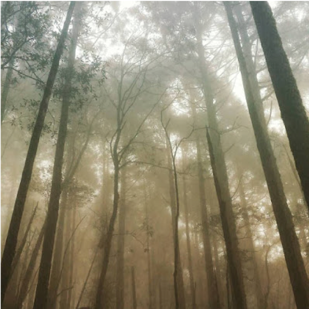 爬山學投資 爬山學投資