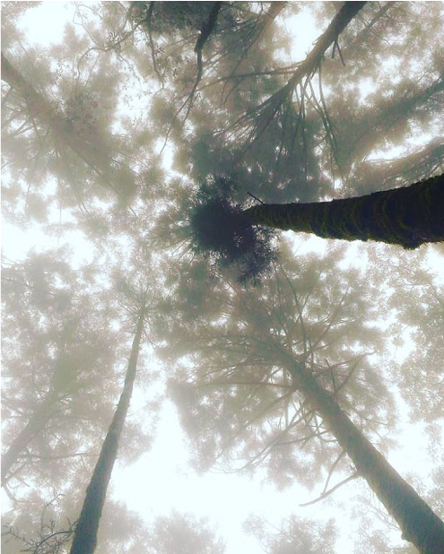 爬山學投資 爬山學投資