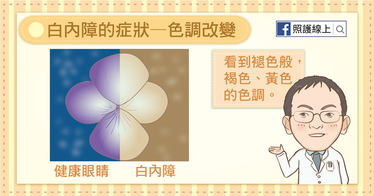 (圖/照護線上提供) (圖/照護線上提供)