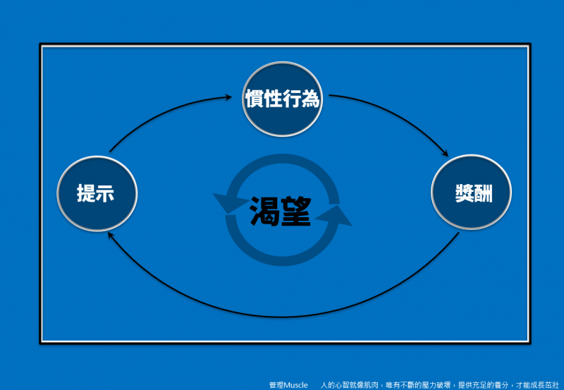 08習慣。(圖/方格子) 08習慣。(圖/方格子)