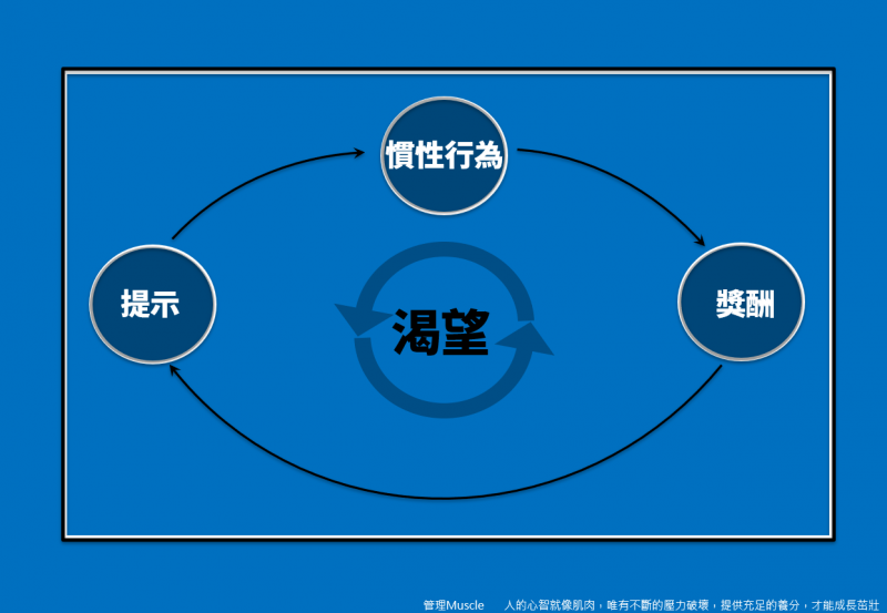 08習慣。(圖/方格子)