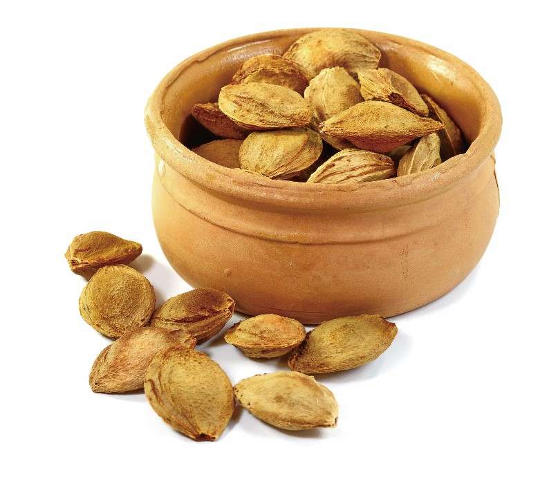 杏仁有分甜與苦, 甜杏仁常用於食療上,有止咳效果,但苦杏仁則多用來入藥,其毒性比一般甜杏仁略高,但經過煮熟後食用,可降低毒性,建議可與水梨、木耳一起燉煮,對於劇烈咳嗽很有效果。 (圖‧達志影像) 杏仁有分甜與苦, 甜杏仁常用於食療上,有止咳效果,但苦杏仁則多用來入藥,其毒性比一般甜杏仁略高,但經過煮熟後食用,可降低毒性,建議可與水梨、木耳一起燉煮,對於劇烈咳嗽很有效果。 (圖‧達志影像)