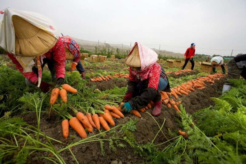 里仁串連農友、廠商，扶助有機產業與生態保育發展、優先選用本土食材，提供消費者人與環境共好的天然蔬果。(圖／里仁提供)