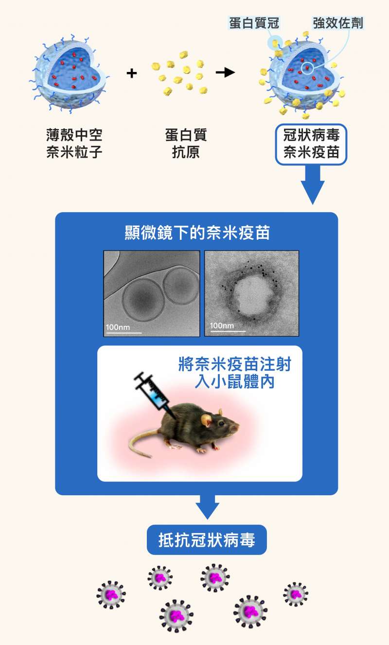 5冠狀病毒奈米疫苗,便是比照病毒,將抗原做成奈米大小,並模仿冠狀病毒表面的皇冠樣突起,在薄殼奈米粒子的表面,覆上「蛋白質冠」,進而讓搭載於粒子內部的奈米級強效佐劑,得以一起傳遞予免疫細胞。 5冠狀病毒奈米疫苗,便是比照病毒,將抗原做成奈米大小,並模仿冠狀病毒表面的皇冠樣突起,在薄殼奈米粒子的表面,覆上「蛋白質冠」,進而讓搭載於粒子內部的奈米級強效佐劑,得以一起傳遞予免疫細胞。