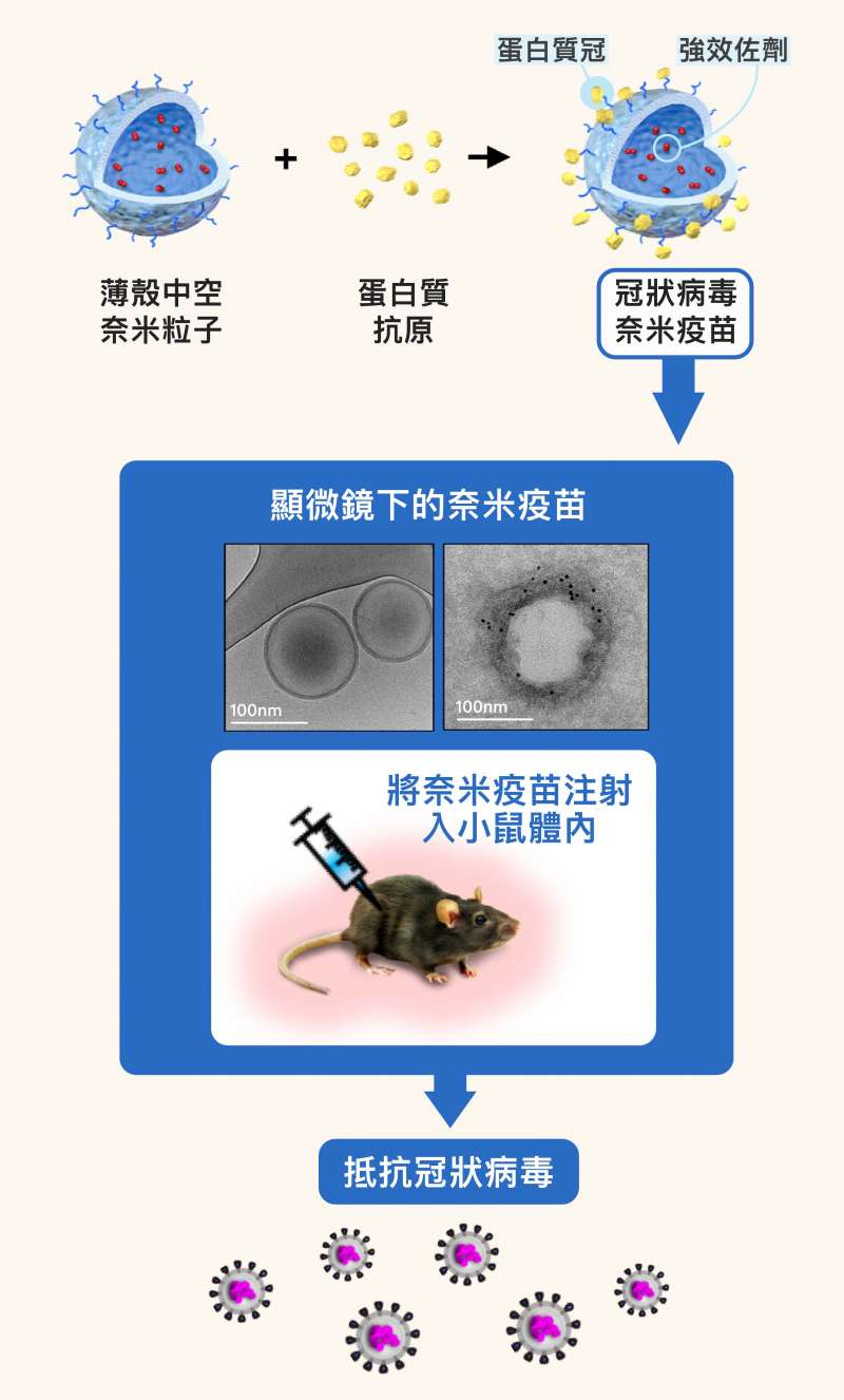 5冠狀病毒奈米疫苗，便是比照病毒，將抗原做成奈米大小，並模仿冠狀病毒表面的皇冠樣突起，在薄殼奈米粒子的表面，覆上「蛋白質冠」，進而讓搭載於粒子內部的奈米級強效佐劑，得以一起傳遞予免疫細胞。