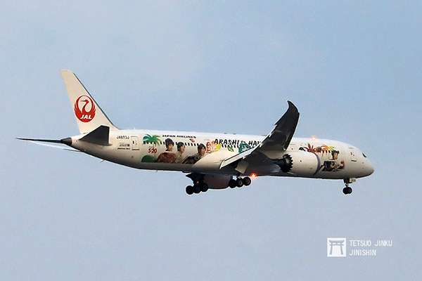 睽違三年再度推出的第五代「JAL嵐JET」,這次改為國際線版本,除了飛航夏威夷航線之外,偶而還會飛往台北松山,吸引不少台灣的迷妹們前往拍照。(攝影:陳威臣) 睽違三年再度推出的第五代「JAL嵐JET」,這次改為國際線版本,除了飛航夏威夷航線之外,偶而還會飛往台北松山,吸引不少台灣的迷妹們前往拍照。(攝影:陳威臣)