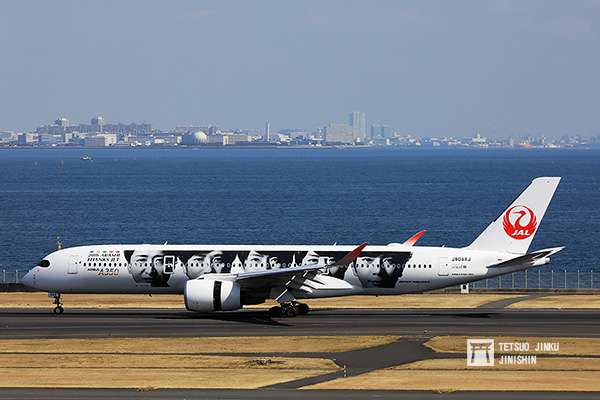 為紀念ARASHI出道20週年，以及2020年為「JAL嵐JET」推出10週年，因此日本航空再度推出國內版也是第六代彩繪機，採用兩側不同塗裝，其中左側是ARASHI成員望向未來的意象。（攝影：陳威臣）