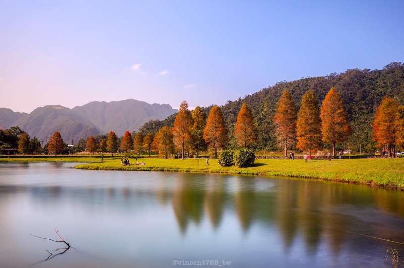 宜蘭蜊埤湖有優美的落葉松和湖景。（圖/IG＠vincent725_tw授權提供）