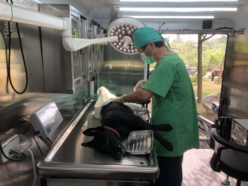 高雄市動物保護處今年新購入動物絕育診療車13日開到大樹區龍目里的農情覓藝棧，開啟高雄市偏鄉犬貓巡迴絕育新頁，里民陸續將犬貓帶來現場，由高雄市獸醫師公會獸醫師在車內手術室操刀進行犬貓絕育 手術。（圖/徐炳文攝）