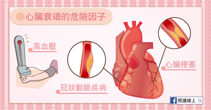 心臟衰竭-07(圖/照護線上) 心臟衰竭-07(圖/照護線上)