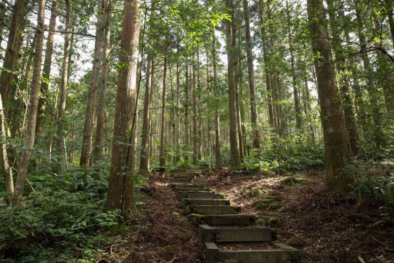 園區內的路線分為自導式步道、景觀步道、森林知性步道、東滿健行步道。(圖/取自桃園觀光導覽網) 園區內的路線分為自導式步道、景觀步道、森林知性步道、東滿健行步道。(圖/取自桃園觀光導覽網)