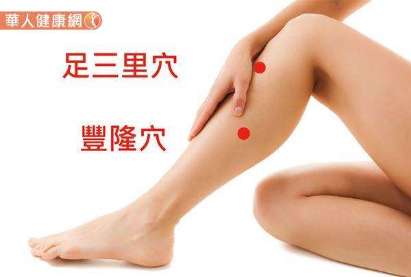 豐隆穴、足三里穴皆位於小腿上。(圖/華人健康網) 豐隆穴、足三里穴皆位於小腿上。(圖/華人健康網)