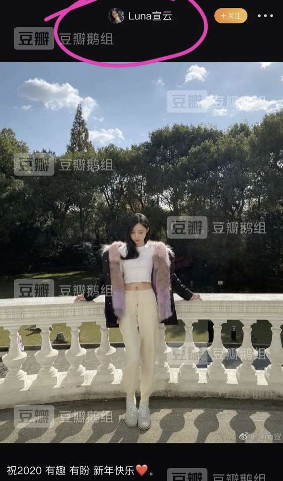 眼尖網友搜出多張與luna在社群平台上發文相似的照片。(圖/截自微博) 眼尖網友搜出多張與luna在社群平台上發文相似的照片。(圖/截自微博)