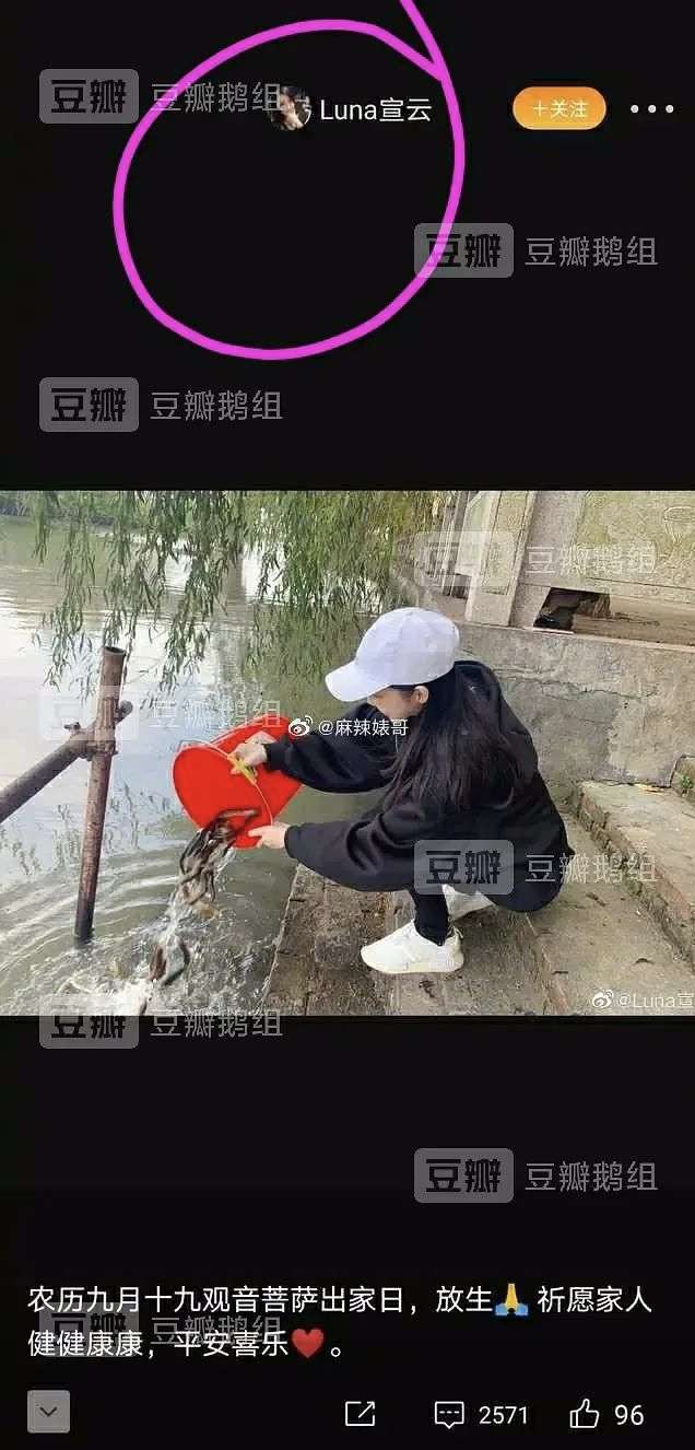 眼尖網友搜出多張與luna在社群平台上發文相似的照片。(圖/截自微博) 眼尖網友搜出多張與luna在社群平台上發文相似的照片。(圖/截自微博)
