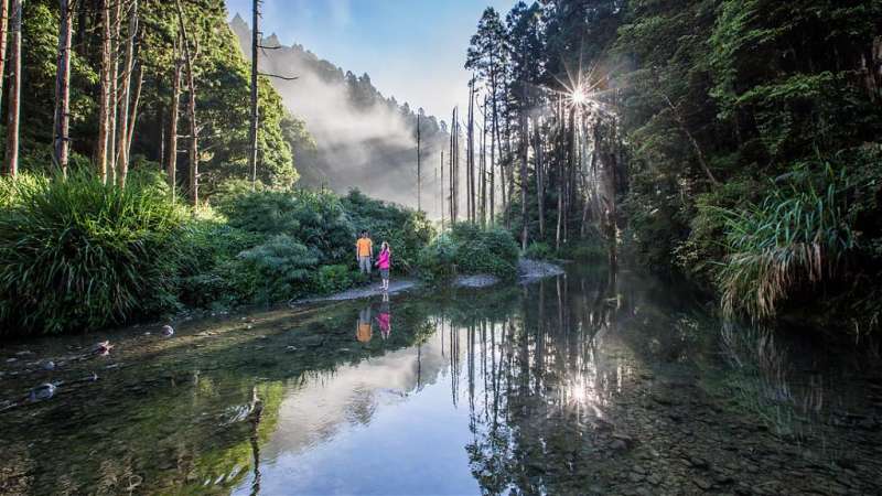 阿溪縱走路線景點-水漾森林。（圖／Tripbaa趣吧！達人帶路）