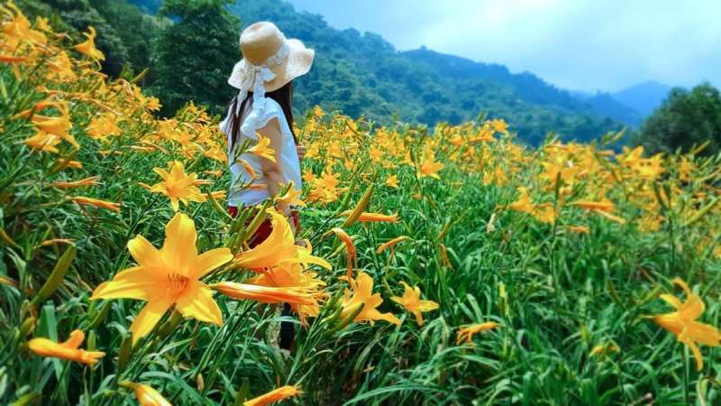 (圖/3more_hi4@instagram提供) (圖/3more_hi4@instagram提供)