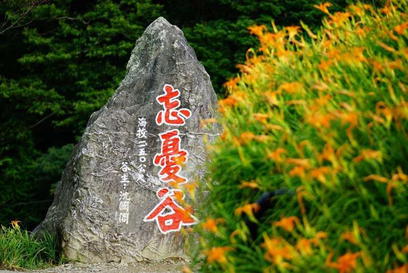 (圖/ a0724a87@instagram提供) (圖/ a0724a87@instagram提供)